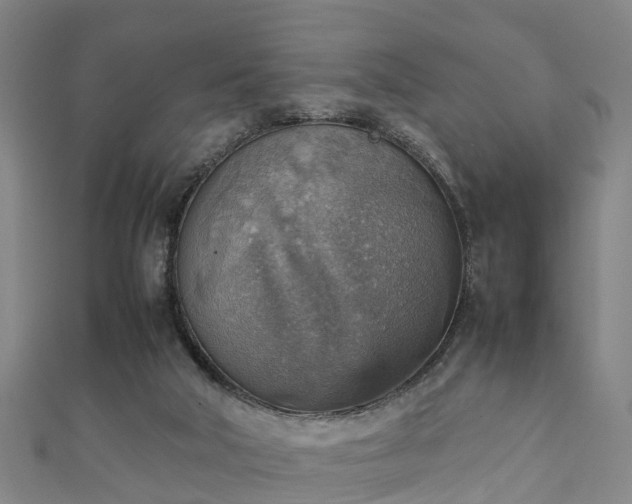 X0000111350018200907171152