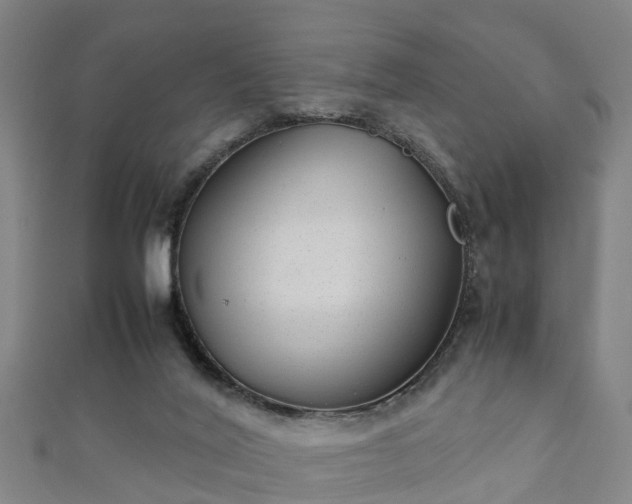 X0000111350020200907171152