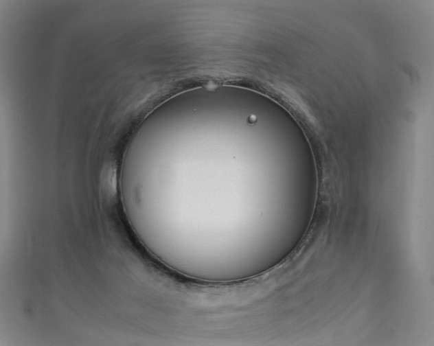 X0000111350021200907171152