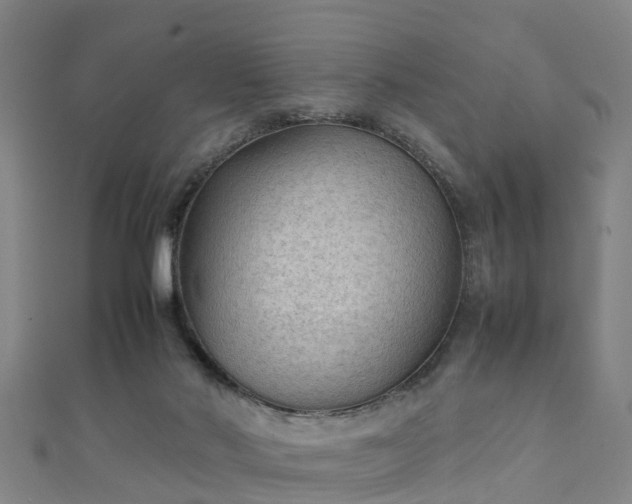 X0000111350022200907171152