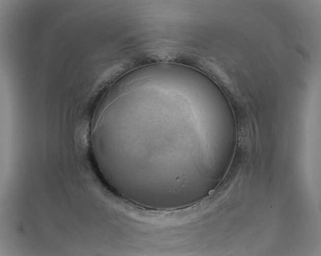 X0000111350023200907171152