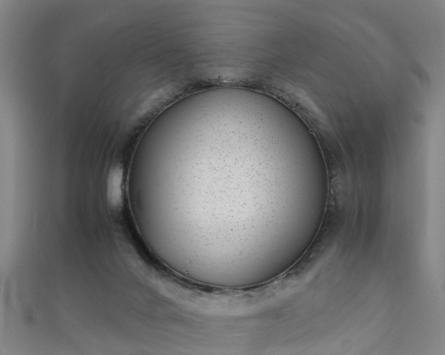 X0000111350024200907171152