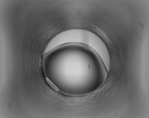 X0000111350025200907171152