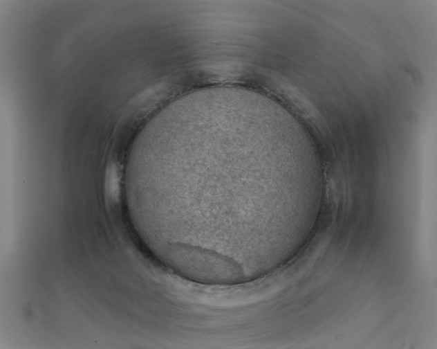 X0000111350026200907171152