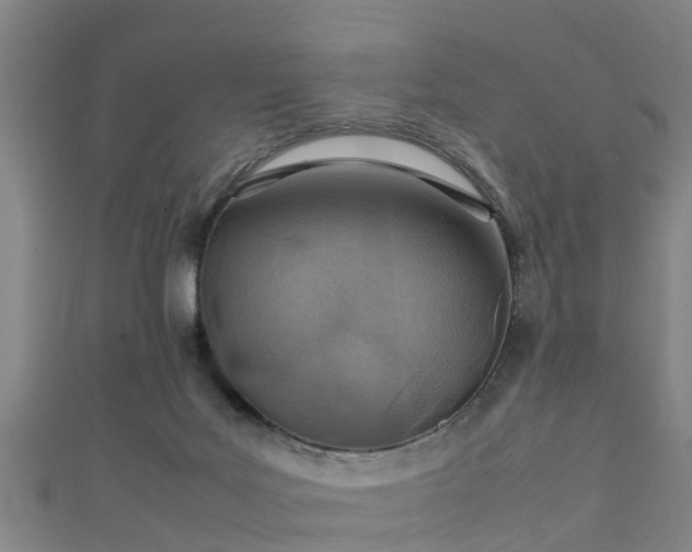 X0000111350027200907171152