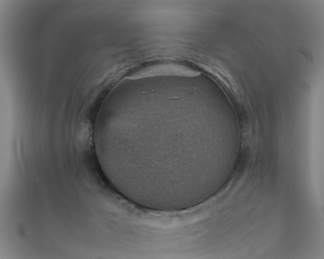 X0000111350029200907171152