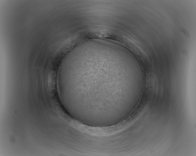 X0000111350030200907171152