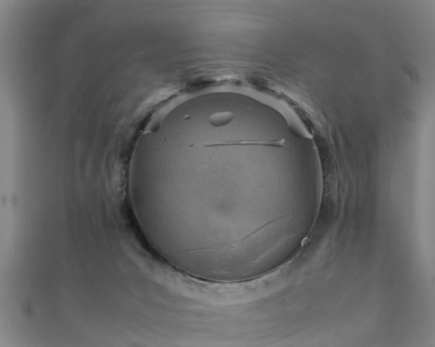 X0000111350031200907171152