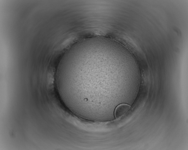 X0000111350032200907171152