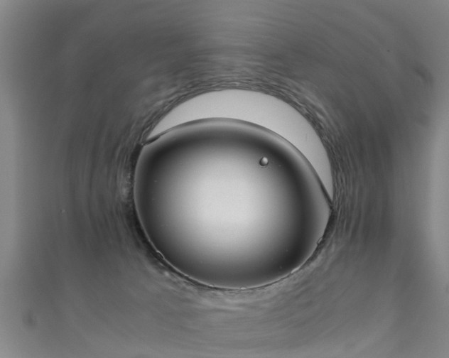 X0000111350033200907171152