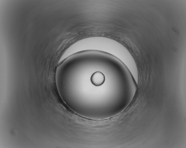 X0000111350035200907171152