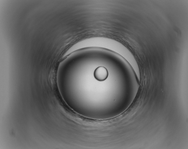 X0000111350036200907171152