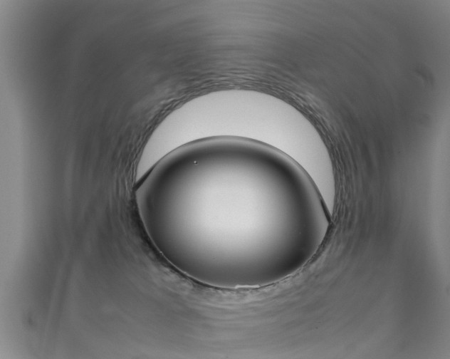 X0000111350037200907171152