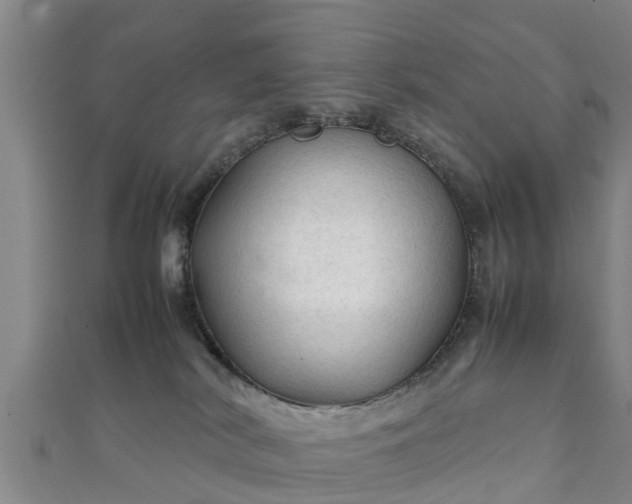 X0000111350038200907171152