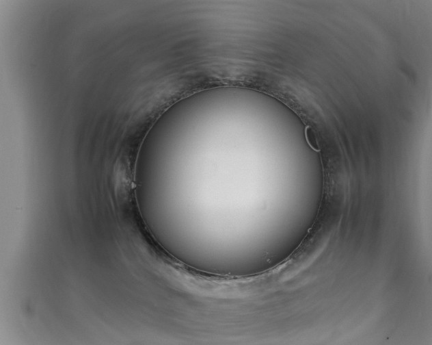 X0000111350040200907171152