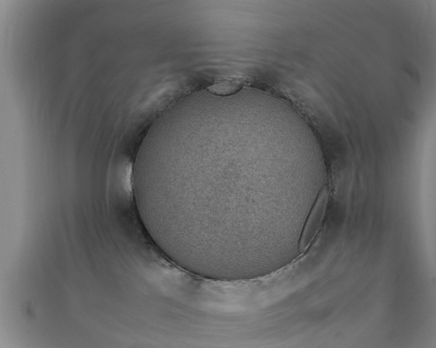 X0000111350041200907171152