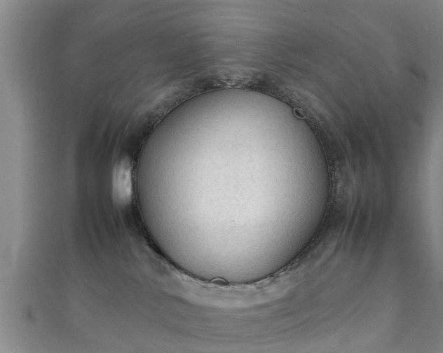 X0000111350042200907171152