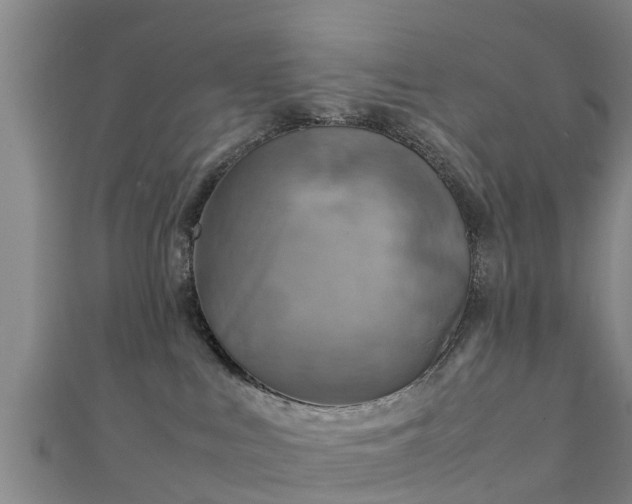 X0000111350043200907171152