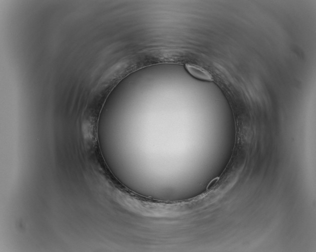 X0000111350044200907171152