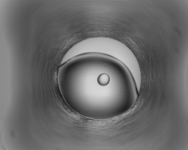 X0000111350045200907171152