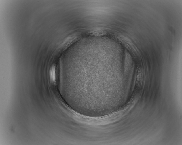 X0000111350046200907171152