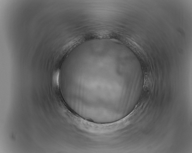 X0000111350047200907171152