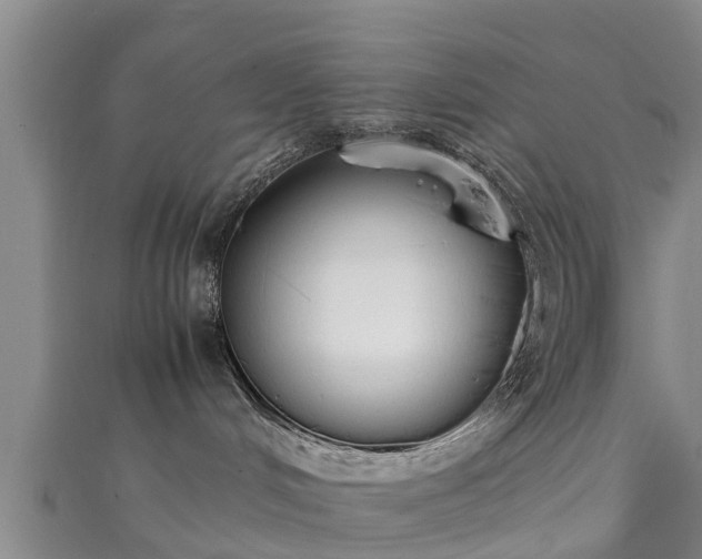 X0000111350048200907171152