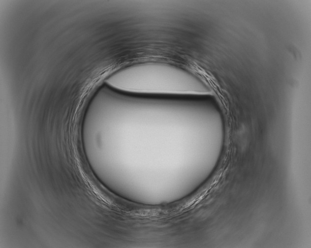 X0000111350049200907171151