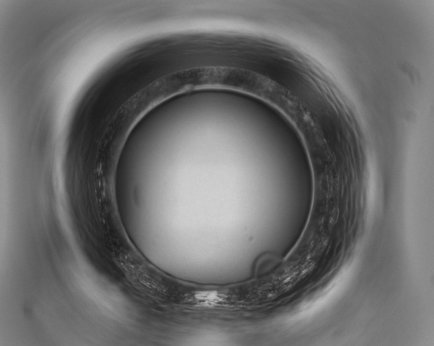 X0000111350050200907171151