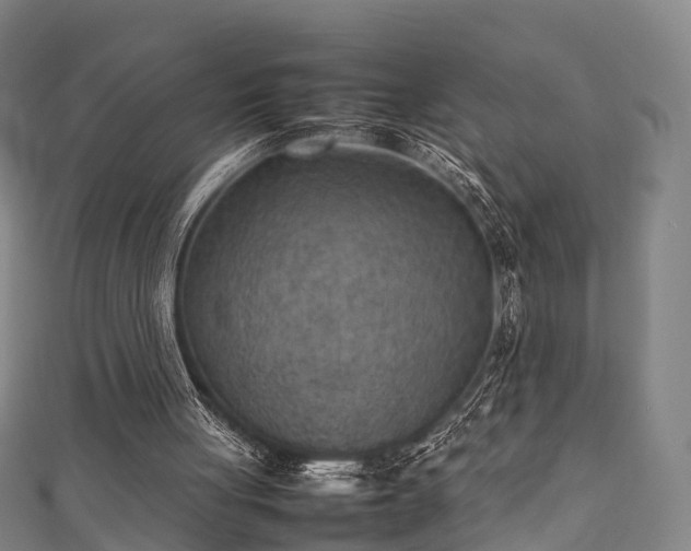 X0000111350051200907171151