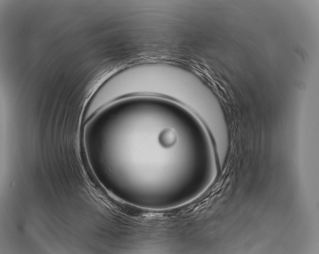 X0000111350052200907171151