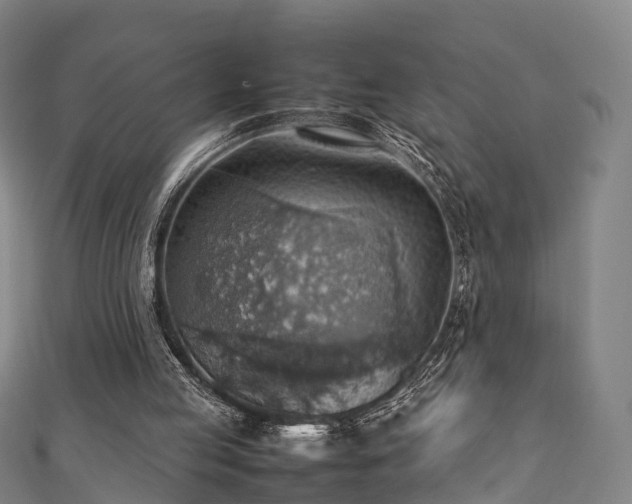 X0000111350053200907171151