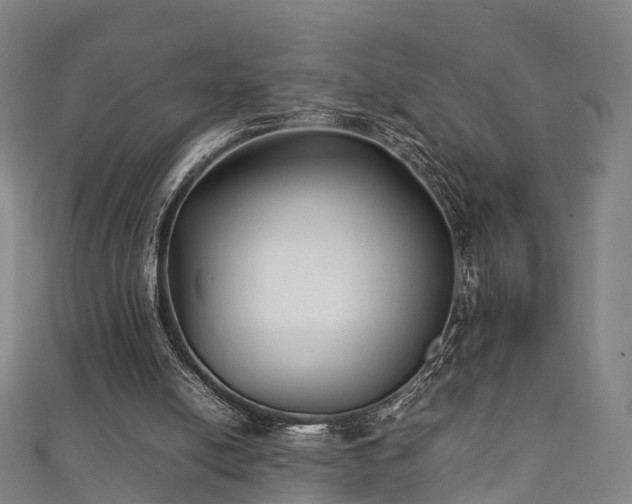 X0000111350054200907171151