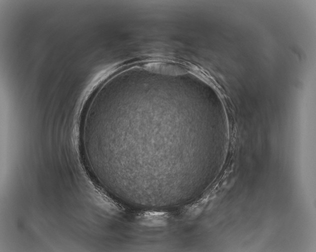 X0000111350055200907171151