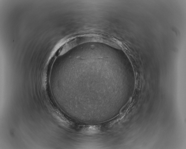 X0000111350056200907171151