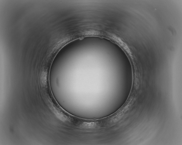 X0000111350057200907171151