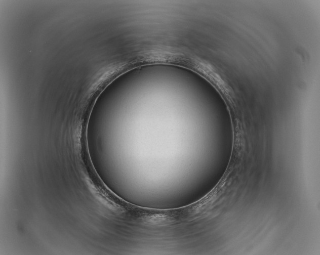 X0000111350058200907171151