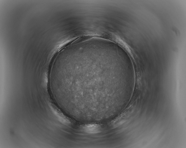 X0000111350059200907171151