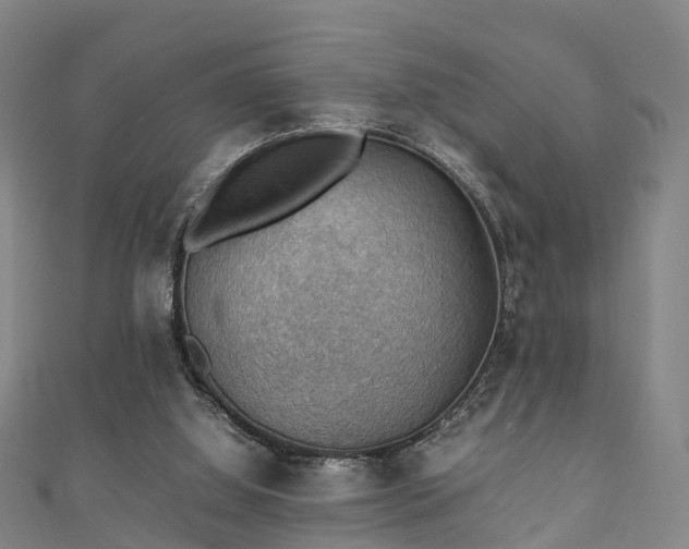 X0000111350060200907171151