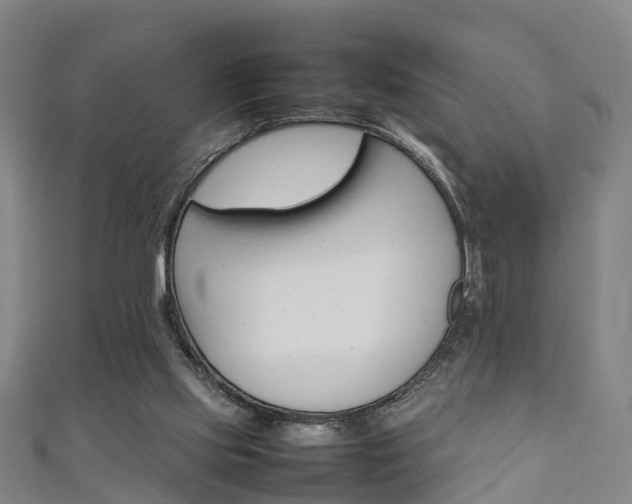 X0000111350061200907171151