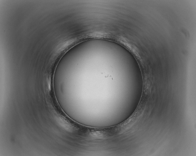 X0000111350062200907171151