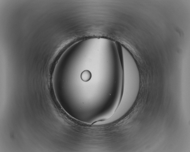 X0000111350064200907171151