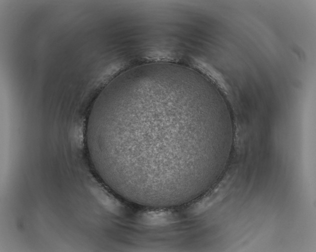 X0000111350065200907171151