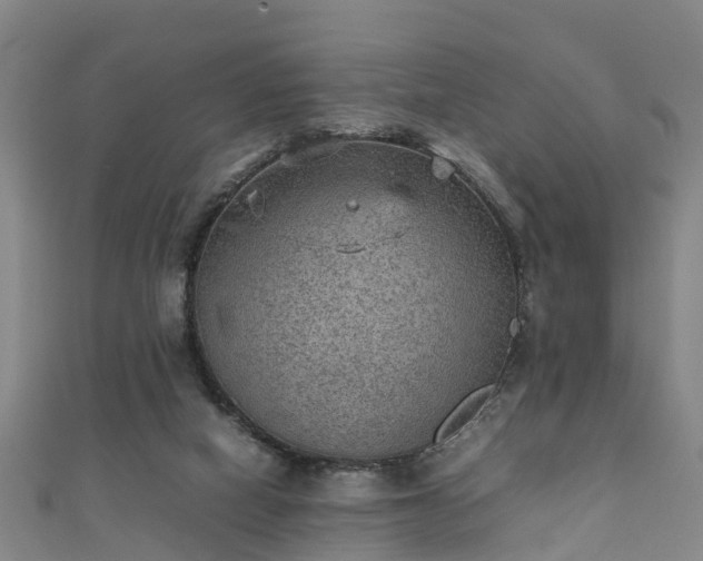 X0000111350066200907171151