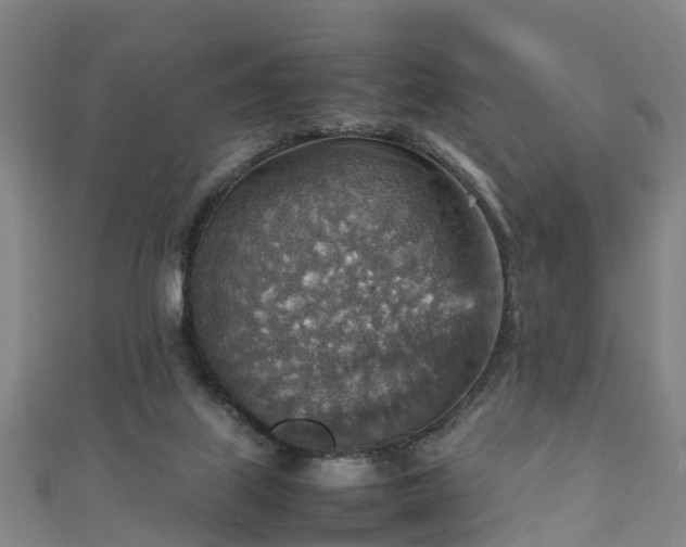 X0000111350067200907171151