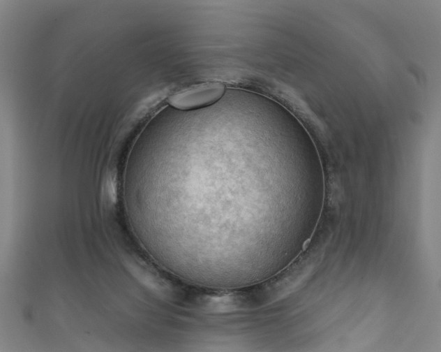 X0000111350068200907171151