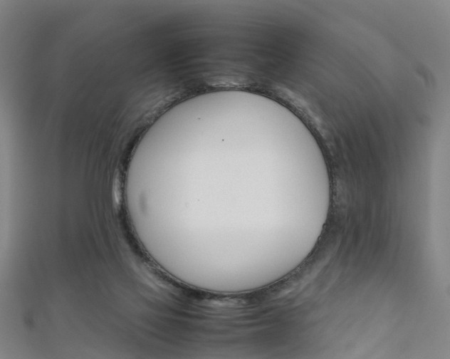 X0000111350069200907171151