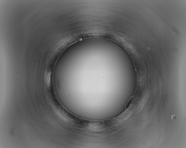 X0000111350070200907171151