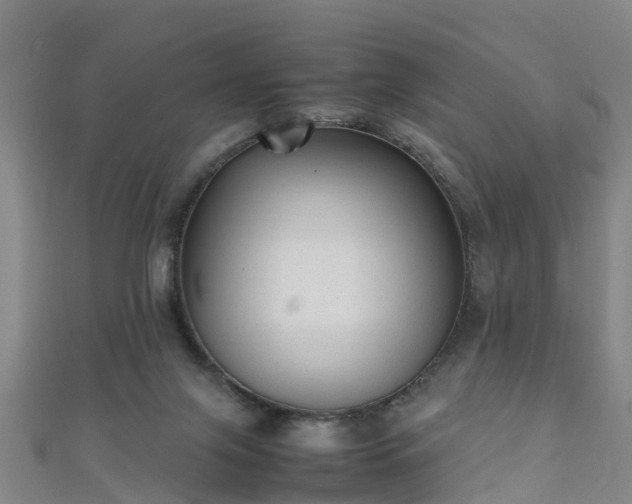 X0000111350071200907171151