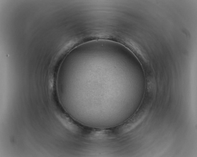 X0000111350072200907171151